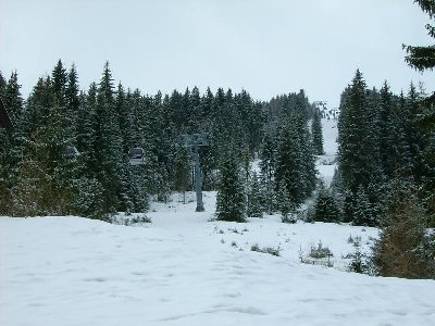 Trasse durch den Wald rechts der neuen Bahn