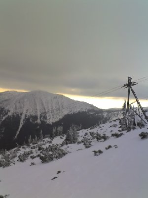 Freeride zwischen den Tannenspitzen