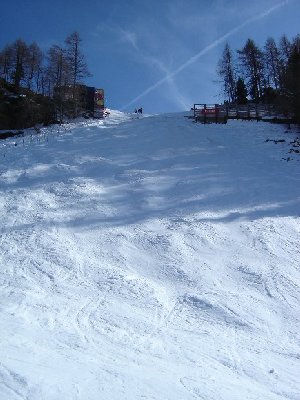 Mausefalle von unten