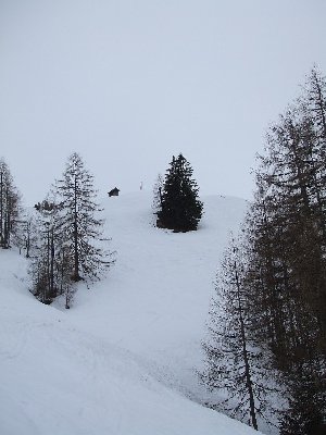 Einer der schönen (aber kurzen) Tiefschneehänge am Lärchfils-Sessel (dies Jahr musste man sich ja schon mit wenig zufrieden geben)