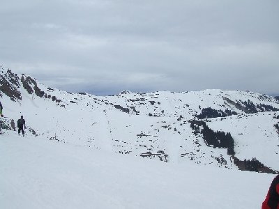 Blick rüber zum Trattenbach