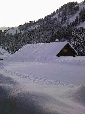 Feinster Powder, nur drübergewalzt. Man sieht den Höhenunterschied.
