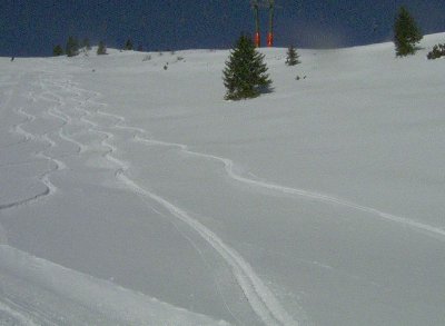 Tiefschnee am Sudelfeldkopf