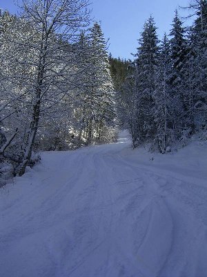Talabfahrt kurz vor Bayrischzell