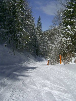 im mittleren Teil der Talabfahrt