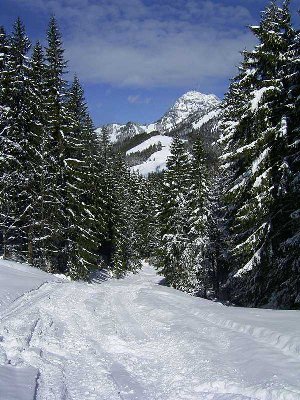 im oberen Teil der Talabfahrt