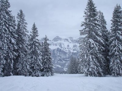 Zum Abschluss noch 2 tief verschneite Bilder von der Prodalp (Abfahrt nach Madils) ...