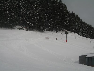 Tellerlift Alpenblume