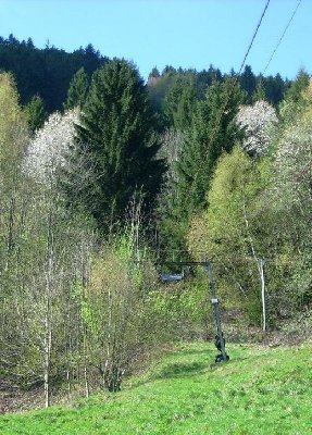 Trasse von unten. Kaum mehr zu erkennen.