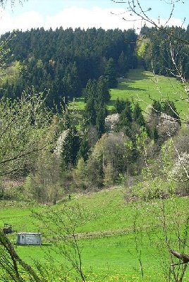 Gesamte Trasse von Ort aus