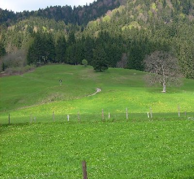 Am Osthang der Huberspitz: LSAP-Gelände in Breitenbach - nix mehr da