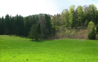 Das besagte LSAP-Gelände in Fischhausen. Hier stand der SL lt. Karte..