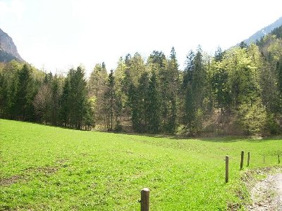 Von der Trasse ist hier nichts mehr zu sehen...