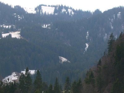 Blick zum Stümpflinggebiet- rechts die Trasse d. Kurvenlifts