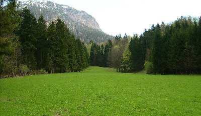 Gelände des LSAP Stockeralmlift in Josefstal