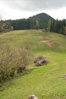 Trasse mit Stützfundamentresten weiter oben