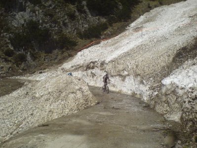 gefüllter Lawinenstrich kurz vor der Alm...würd gern wissen, wie es hier nach sehr schneereichen Wintern (zb 99 oder 05/06) aussieht....