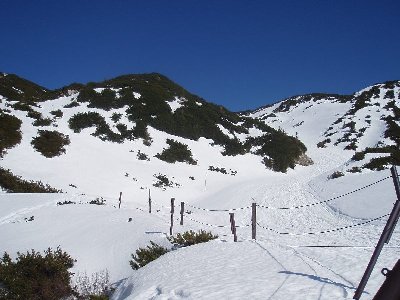 ich hatte die gesamte Abfahrt mir mir allein gehabt, nur 3 weiter Tourengeher san ich als ich an der Hochalm vorher ankam...;)
