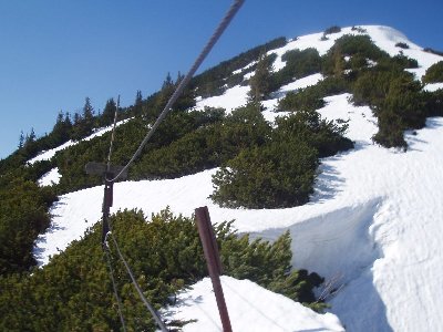Schneehöhe auf ca. 1.550m Höhe