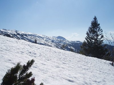 Blick auf das Plateau