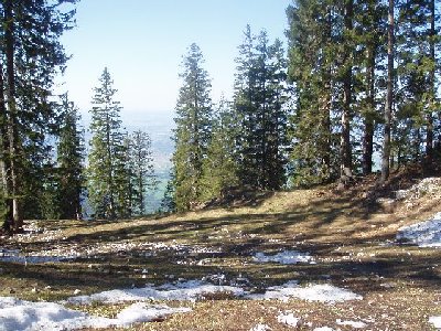 ab hier ist Schluß...