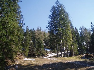 Blick nochmals zurück zum heutigen Ende des Skivergnügens
