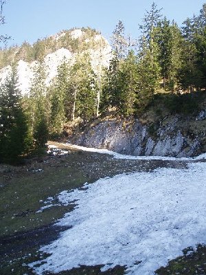 wir sind auf ca. 1.000 Metern Höhe