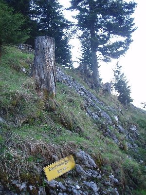 Rauchberger Kurve