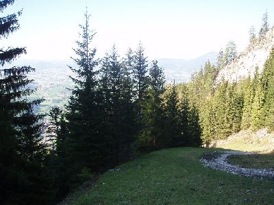 in netten Waldpartien gehts runter