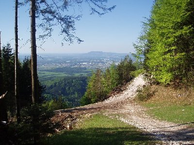 hier die Abzweigung nach links zur der Umfahrung des Steilhanges, geradeaus der Steilhang den ich aus Zeitgründen trotzdem runter bin