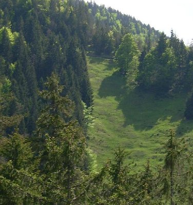 Glaslhang von der Bahn aus (jetzt Freeride-Gebiet)