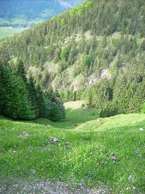 DAS dürfte eine schwarze Piste sein...