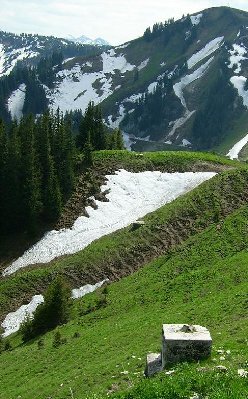 Trasse von Bergstation aus mit Fundamenten...