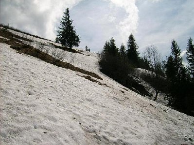 Auf dem Setzberg lag noch Schnee...