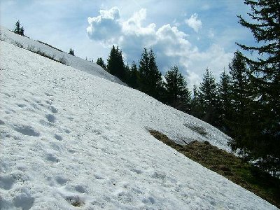 Schneefeld am Setzberg2.jpg