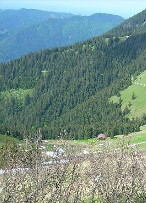 Trasse von Bergstation aus