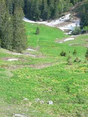 Trasse von oben aus...