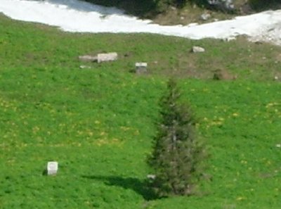 Zoom Talstationsreste...