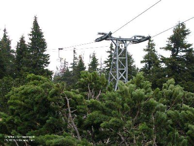 Sesselbahn im Nadelgehölz