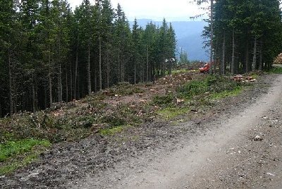 lifttrasse nach der querung der neuen bahn mit der weißenelfschlagpiste