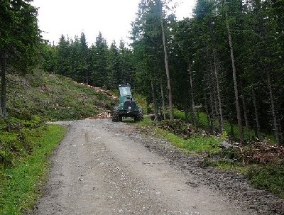 vom gleichen standpunkt, trasse nach weiter oben.....hier ist derzeit schluß mit der trassenrodung....im hintergrund zu erkennen die alte schlepplifttrasse