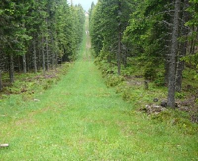 alte schlepplifttrasse