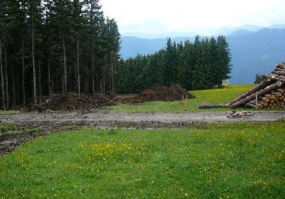 pistenverbreiterung in richtung talstaion neue sesselbahn