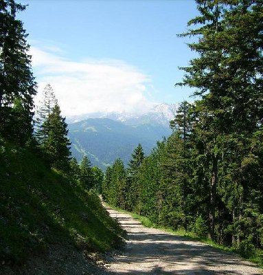 Alte Wank-Talabfahrt: Im Sommer eine Forststrasse.