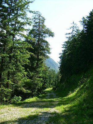 Blick nach oben von gleicher Stelle aus