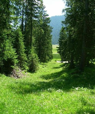 Vermutung: Hier stand wohl der Seillift