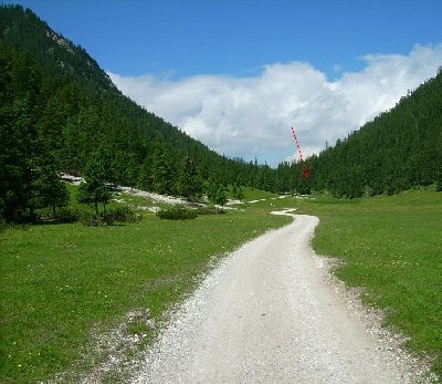Flachstück bei Esterbergalm. Am Waldrand hinten stand der Seillift