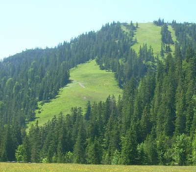 Blick ins LSAP von der Esterbergalm