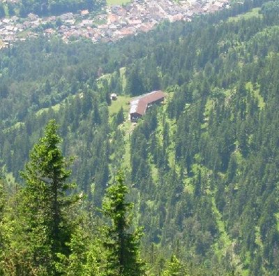 Blick auf die Trasse der alten Wankbahn (kaum erkennbar)