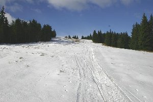 So sieht es auf dem oberen Abschnitt aus (etwa 1500 m hoch), wo noch nicht beschneit wurde ...